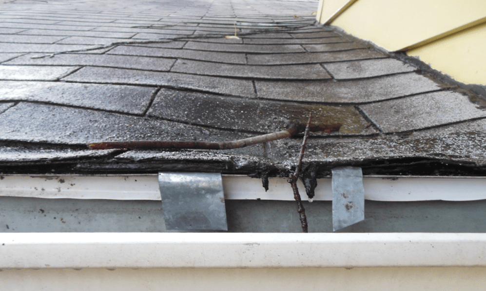 Roof Repair